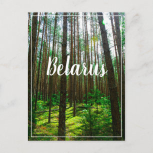 Postale Nature Paysage Paysage Forêt Biélorussie Carte pos