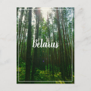 Postale Nature Paysage Paysage Forêt Biélorussie Carte pos
