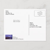 Postale Navarre Florida Lightning Penser De Vous Carte Pos (Dos)