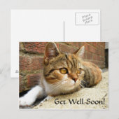 Postale Obtenez bientôt la carte de chat (Devant / Derrière)