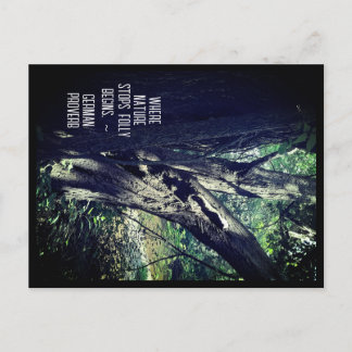 Postale Old Tree in the Woods & German Proverb Carte posta