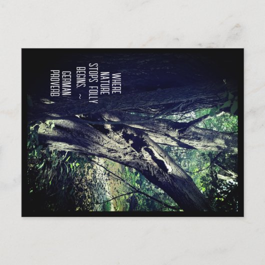 Postale Old Tree in the Woods & German Proverb Carte posta (Devant)