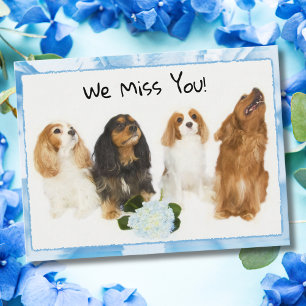 Postale On vous manque ! 4 Cavalier King Charles Carte pos