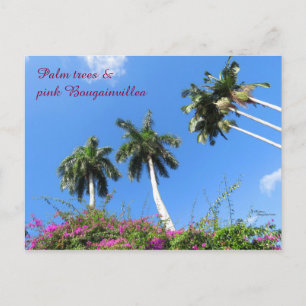 Postale Palmiers Bougainvilliers buissons Floride Carte po