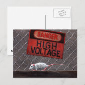 Postale Panneau haute tension Rat sur clôture Carte postal (Devant / Derrière)