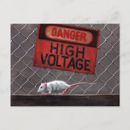 Postale Panneau haute tension Rat sur clôture Carte postal (Devant)
