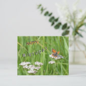Postale Papillon de feu Cust. Carte d'anniversaire (Debout devant)