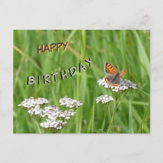 Postale Papillon de feu Cust. Carte d'anniversaire (Devant)
