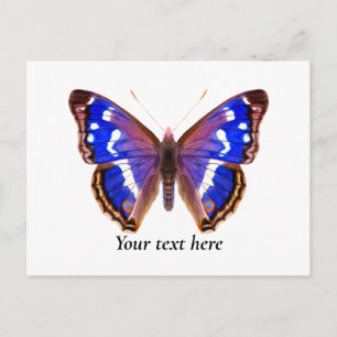 Postale Papillon Empereur Violet Watercolor Art Carte post