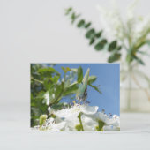 Postale Papillon Hairstreak vert do-it-yourself carte post (Debout devant)