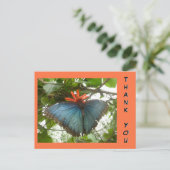 Postale Papillon Morpho Bleu sur Fleur Carte de Remercieme (Debout devant)