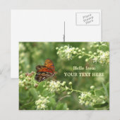 Postale Papillon orange Customisé "Bonjour de" Carte posta (Devant / Derrière)