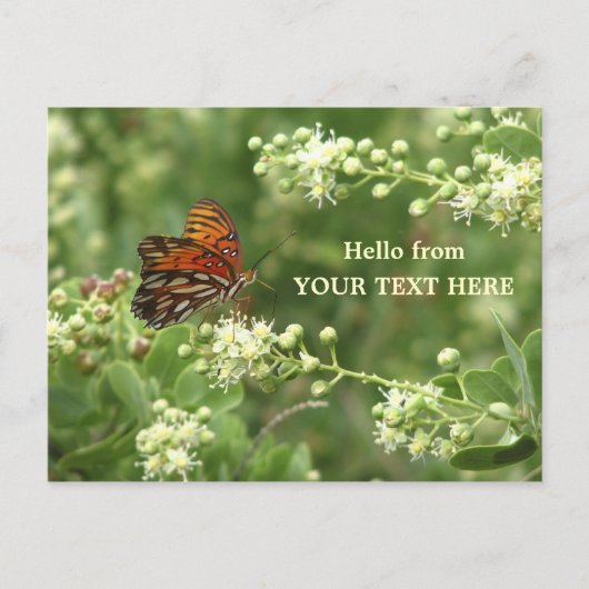 Postale Papillon orange Customisé "Bonjour de" Carte posta (Devant)
