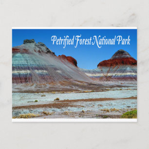 Postale Parc National de la Forêt Petrifiée, Arizona Carte