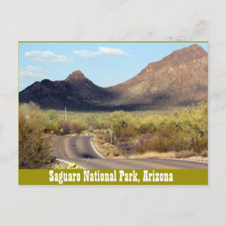 Postale Parc national du Saguaro, Tuscon Arizona Carte pos