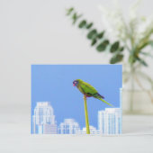 Postale ~Parrot~ CARTE POSTALE, PERSONNALISER (Debout devant)