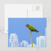 Postale ~Parrot~ CARTE POSTALE, PERSONNALISER (Devant / Derrière)