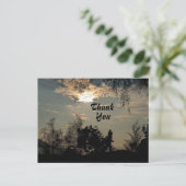 Postale Paysage d'arbres au coucher du soleil chaud Carte  (Debout devant)