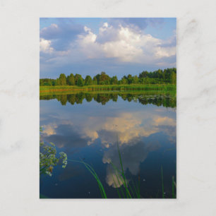 Postale Paysage naturel Paysage Lac Biélorussie Carte post