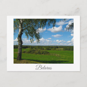 Postale Paysage Naturel Scénique Bouleau Biélorussie Carte