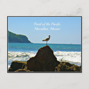 Postale Pearl of the Pacific, Mazatlan Mexique Carte de mo