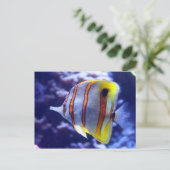 POSTALE PÊCHER LA CARTE POISSON (Debout devant)