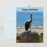 Pélican Avec Le Regard, Carte De Vœux D'anniversai
