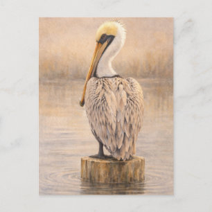 Postale Pélican de port Art de la faune côtière Carte
