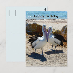 Postale Pélicans Amoureux, Carte D'anniversaire