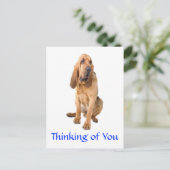 Postale Penser à vous Bloodhound Chig Greeting Carte posta (Debout devant)