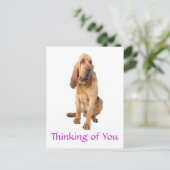 Postale Penser à vous Bloodhound Chig Greeting Carte posta (Debout devant)