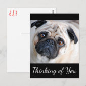 Postale Penser à vous Carlin Chien Chien Chien Noir Carte (Devant / Derrière)