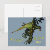 Postale Perroquet à collier mangeant une carte de bonne an (Devant / Derrière)