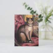 Postale Pet Tabby Chat avec collier bleu ruban carte posta (Debout devant)