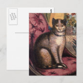 Postale Pet Tabby Chat avec collier bleu ruban carte posta (Devant / Derrière)