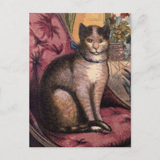 Postale Pet Tabby Chat avec collier bleu ruban carte posta