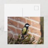 Postale Petit oiseau mignon sur do-it-yourself carte posta (Devant / Derrière)