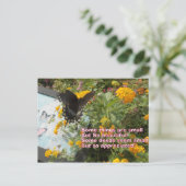 Postale petite mais appréciée carte Papillon (Debout devant)