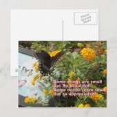 Postale petite mais appréciée carte Papillon (Devant / Derrière)