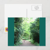 Postale Pheasin sur le sentier forestier Photo Carte posta (Devant / Derrière)