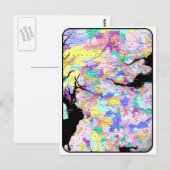 Postale Photo écossaise de clans de carte de l'Ecosse (Devant / Derrière)