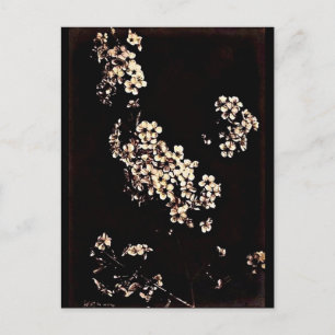 Postale Photographie Vintage carte postale-Charles Aubry 2