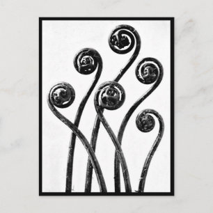 Postale Photographie Vintage carte postale-Karl Blossfeldt