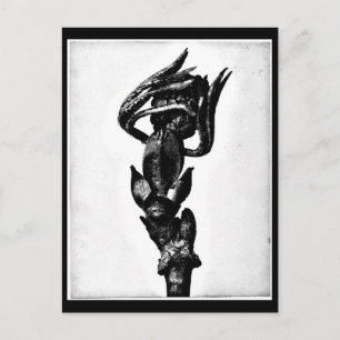 Postale Photographie Vintage carte postale-Karl Blossfeldt