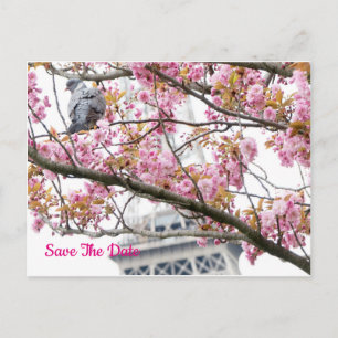 Postale Pigeon Bird Eiffel Enregistrer La Date Tour Carte