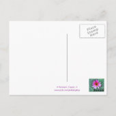 Postale Pink Daisy Belated Joyeux Anniversaire Carte posta (Dos)