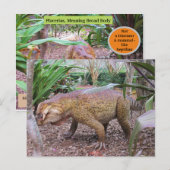 Postale Placerias - * Dinosaure - Carte d'apprentissage (Devant / Derrière)