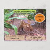 Postale Placerias - * Dinosaure - Carte d'apprentissage (Dos)