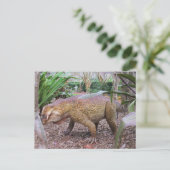 Postale Placerias - * Dinosaure - Carte d'apprentissage (Debout devant)