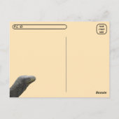 Postale Point de passage - Crocodile Moniteur Lizard Carte (Dos)